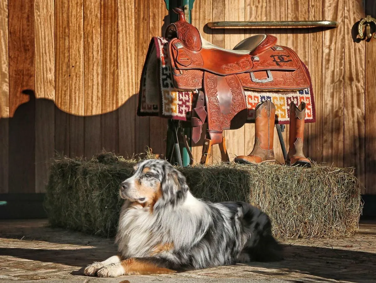 Pietra Cavalla - Ranch & Resort Polpenazze del Garda Gospodarstwo agroturystyczne