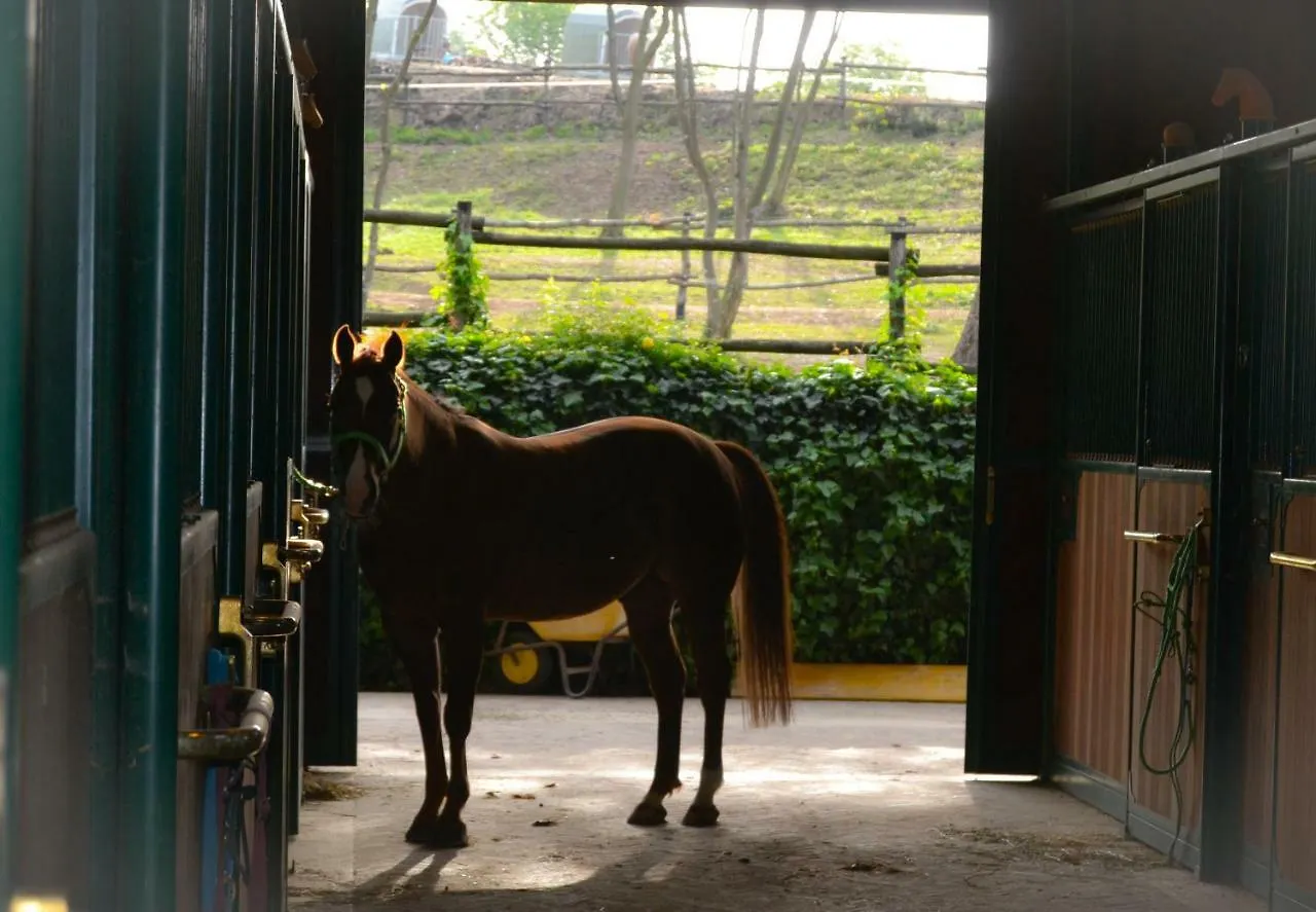 Séjour à la ferme Pietra Cavalla - Ranch & Resort Polpenazze del Garda