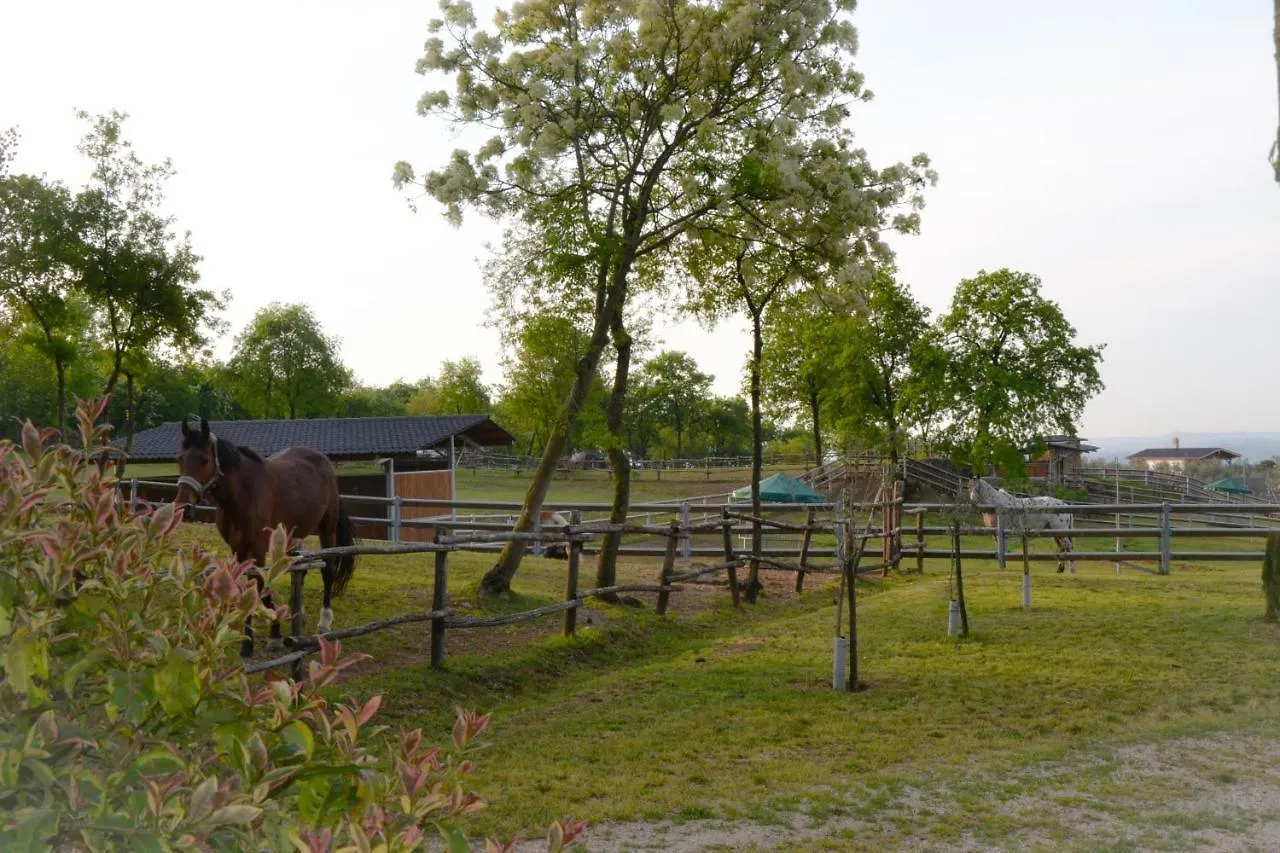 农家乐 Pietra Cavalla - Ranch & Resort 波尔佩纳泽德尔加尔达